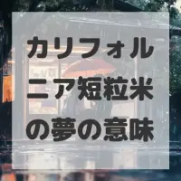カリフォルニア短粒米の夢のサムネイル画像