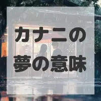 カナニの夢のサムネイル画像