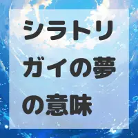 シラトリガイの夢のサムネイル画像