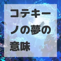 コテキーノの夢のサムネイル画像