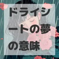 ドライシートの夢のサムネイル画像