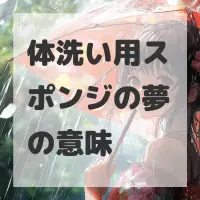 体洗い用スポンジの夢のサムネイル