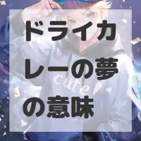 ドライカレーの夢のサムネイル画像