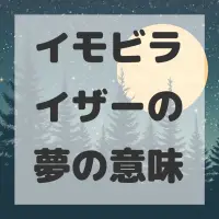 イモビライザーの夢のサムネイル画像