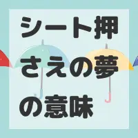 シート押さえの夢のサムネイル画像