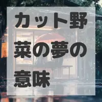 カット野菜の夢のサムネイル画像