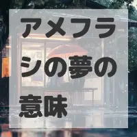 アメフラシの夢のサムネイル画像