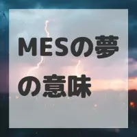 MESの夢のサムネイル画像