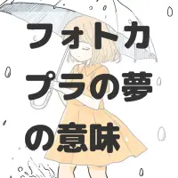 フォトカプラの夢のサムネイル