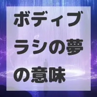 ボディブラシの夢のサムネイル