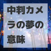 中判カメラの夢のサムネイル