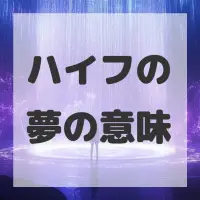ハイフの夢のサムネイル画像