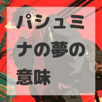パシュミナの夢のサムネイル