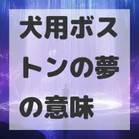 犬用ボストンの夢のサムネイル画像