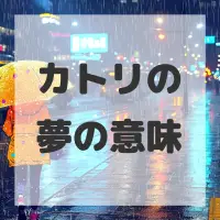 カトリの夢のサムネイル画像