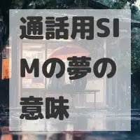 通話用SIMの夢のサムネイル画像