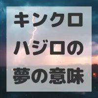 キンクロハジロの夢のサムネイル画像