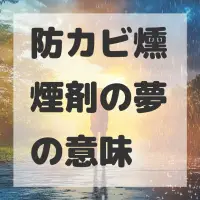 防カビ燻煙剤の夢のサムネイル