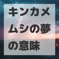 キンカメムシの夢のサムネイル画像
