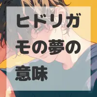 ヒドリガモの夢のサムネイル画像