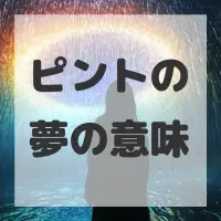 ピントの夢のサムネイル