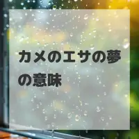 カメのエサの夢のサムネイル画像