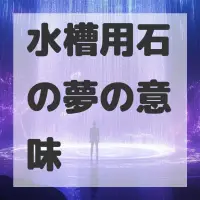 水槽用石の夢のサムネイル画像