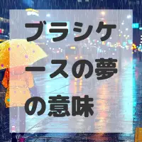 ブラシケースの夢のサムネイル画像