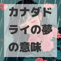 カナダドライの夢のサムネイル画像