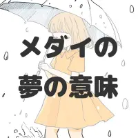 メダイの夢のサムネイル画像