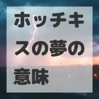 ホッチキスの夢のサムネイル画像