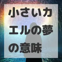 小さいカエルの夢のサムネイル画像