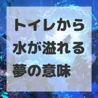 トイレから水が溢れる夢のサムネイル画像