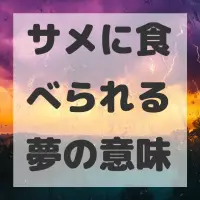 サメに食べられる夢のサムネイル画像