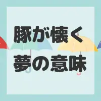豚が懐く夢のサムネイル画像