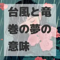 台風と竜巻の夢のサムネイル画像
