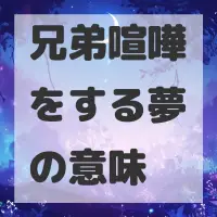 兄弟喧嘩をする夢のサムネイル画像