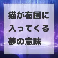 猫が布団に入ってくる夢のサムネイル画像