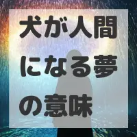 犬が人間になる夢のサムネイル画像