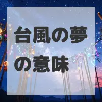 台風の夢のサムネイル画像