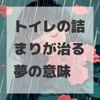 トイレの詰まりが治る夢のサムネイル画像