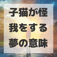 子猫が怪我をする夢のサムネイル画像