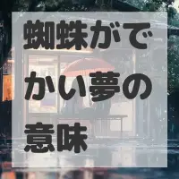 蜘蛛がでかい夢のサムネイル画像