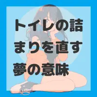 トイレの詰まりを直す夢のサムネイル画像