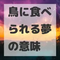 鳥に食べられる夢のサムネイル画像