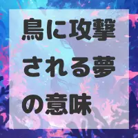 鳥に攻撃される夢のサムネイル画像