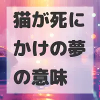 猫が死にかけの夢のサムネイル画像