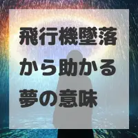 飛行機墜落から助かる夢のサムネイル画像
