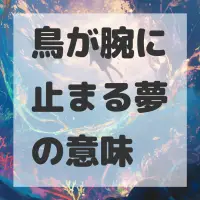 鳥が腕に止まる夢のサムネイル画像