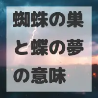 蜘蛛の巣と蝶の夢のサムネイル画像